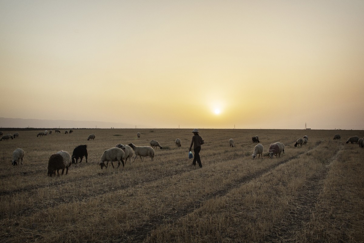 Dan Iraq tron phien quan IS trong trai ga cua nguoi Kurd-Hinh-4